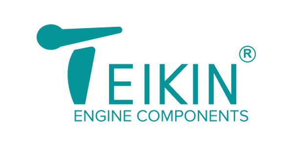 Teikin logo